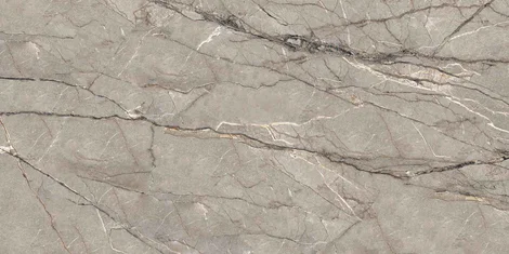 SILVER ROOT