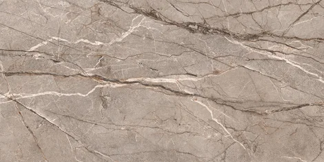 SILVER ROOT BOOKMATCH